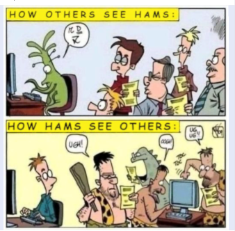 How others see Hams